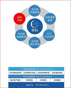 DSL國際兌付系統(tǒng) 區(qū)塊鏈3.0的真實(shí)落地應(yīng)用與網(wǎng)絡(luò)信息技術(shù)研發(fā)