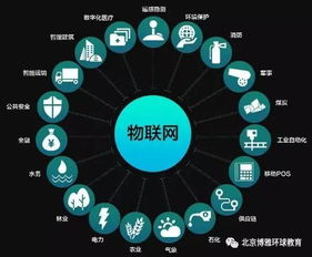 網(wǎng)絡(luò)信息技術(shù)研發(fā) 解析最熱高薪行業(yè)的新玩法