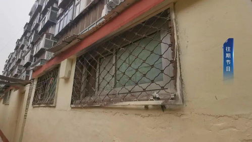 問政提前探 石棉制品廠宿舍自建小院阻礙施工，設計單位無奈應對